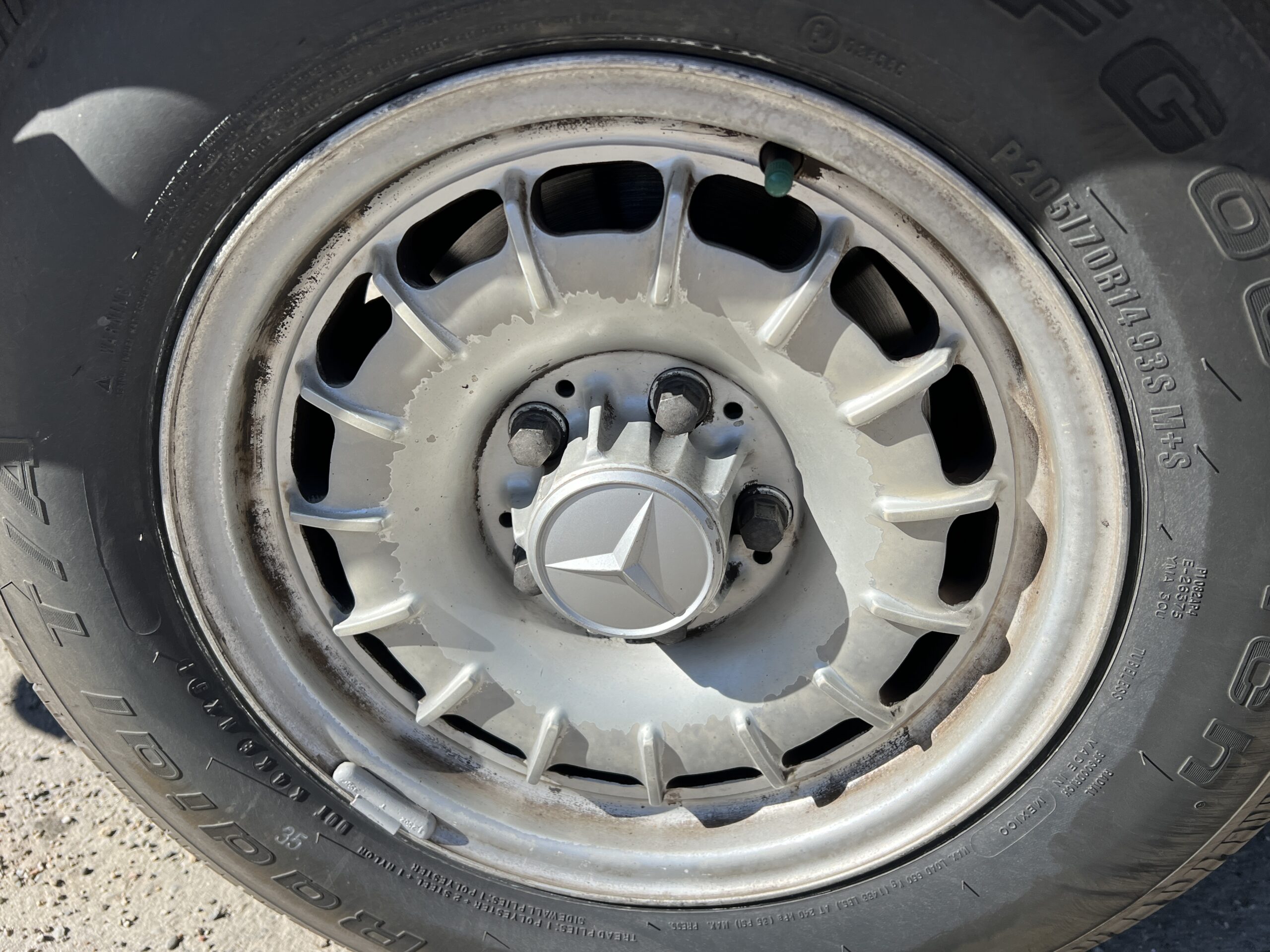 Photo 2024-03-18, 12 32 00 PM